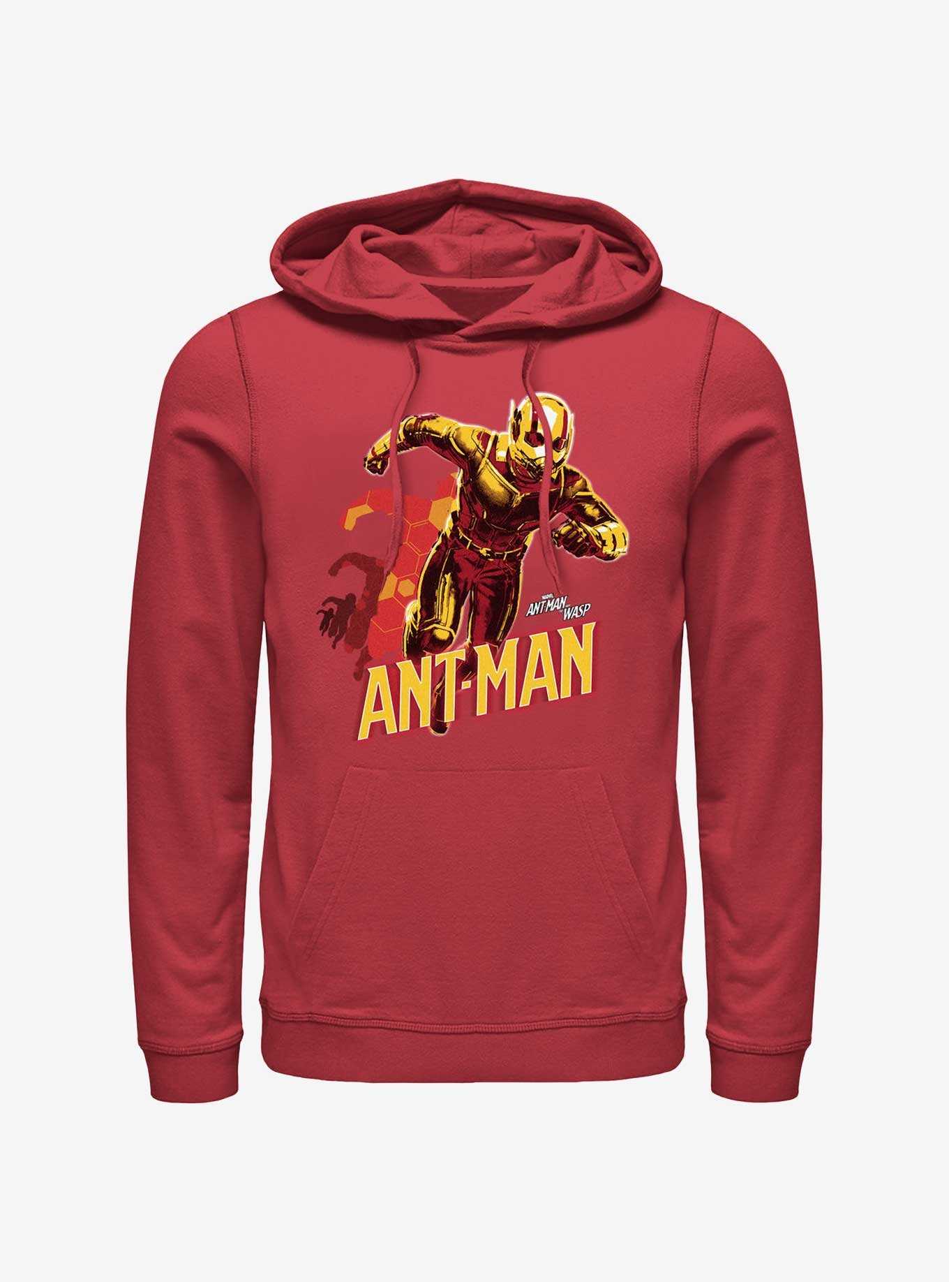 Marvel Ant-Man and the Wasp: Quantumania Ant-Man Transform Hoodie, , hi-res