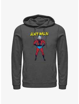 Marvel Ant-Man Big Ant Hoodie, , hi-res