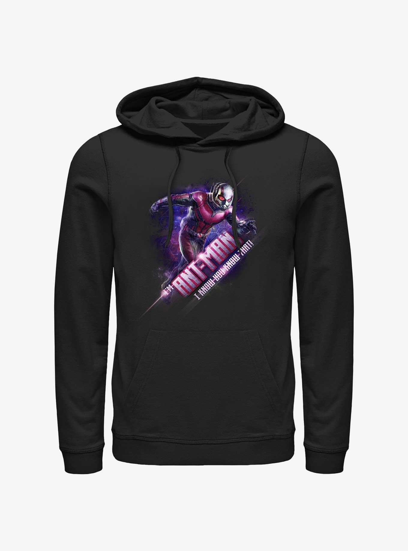 Marvel Ant-Man I'm Ant-Man Hoodie, , hi-res