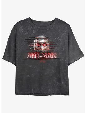 Marvel Ant-Man and the Wasp: Quantumania Ant-Man Glitch Mineral Wash Girls Crop T-Shirt, , hi-res