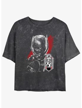 Marvel Ant-Man and the Wasp: Quantumania Antman Tag Mineral Wash Girls Crop T-Shirt, , hi-res