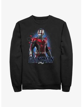 Marvel Ant-Man and the Wasp: Quantumania Giant-Man Atom Sweatshirt, , hi-res
