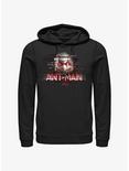 Marvel Ant-Man and the Wasp: Quantumania Ant-Man Glitch Hoodie, BLACK, hi-res
