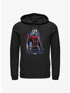 Marvel Ant-Man and the Wasp: Quantumania Giant-Man Atom Hoodie, , hi-res