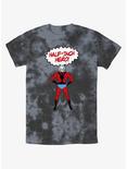 Marvel Ant-Man Half-Inch Hero Tie-Dye T-Shirt, BLKCHAR, hi-res