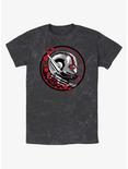 Marvel Ant-Man and the Wasp: Quantumania Ant Stamp Mineral Wash T-Shirt, BLACK MINERAL WASH, hi-res