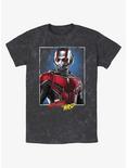 Marvel Ant-Man and the Wasp: Quantumania Ant-Man Portrait Mineral Wash T-Shirt, BLACK MINERAL WASH, hi-res
