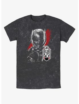 Marvel Ant-Man and the Wasp: Quantumania Ant-Man Tag Mineral Wash T-Shirt, , hi-res