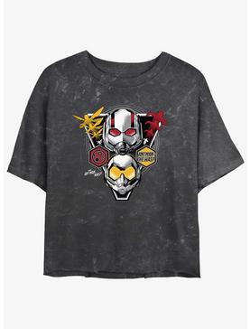 Marvel Ant-Man and the Wasp: Quantumania Hero Duo Mineral Wash Womens Crop T-Shirt, , hi-res