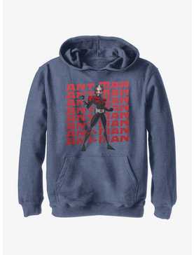 Marvel Ant-Man and the Wasp: Quantumania Action Pose Youth Hoodie, , hi-res