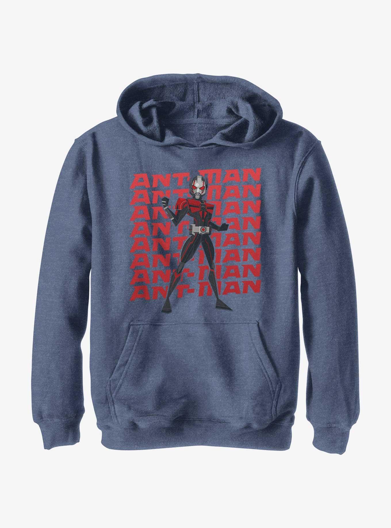 Marvel Ant-Man and the Wasp: Quantumania Action Pose Youth Hoodie, , hi-res