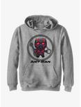 Marvel Ant-Man and the Wasp: Quantumania Chibi Quantum Ant-Man Badge Youth Hoodie, ATH HTR, hi-res