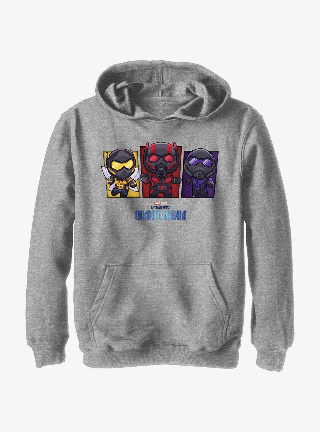 Marvel Ant-Man and the Wasp: Quantumania Chibi Heroes Youth Hoodie, , hi-res