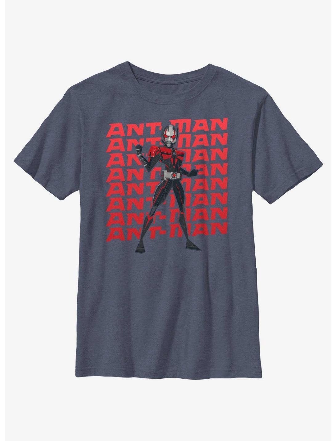 Marvel Ant-Man and the Wasp: Quantumania Action Pose Youth T-Shirt, NAVY HTR, hi-res