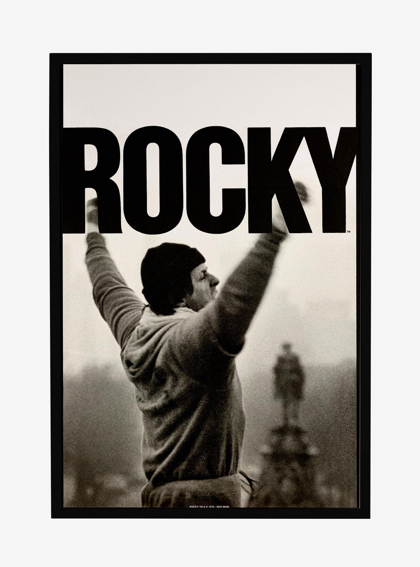 Rocky Steps Pose Framed Poster, , hi-res