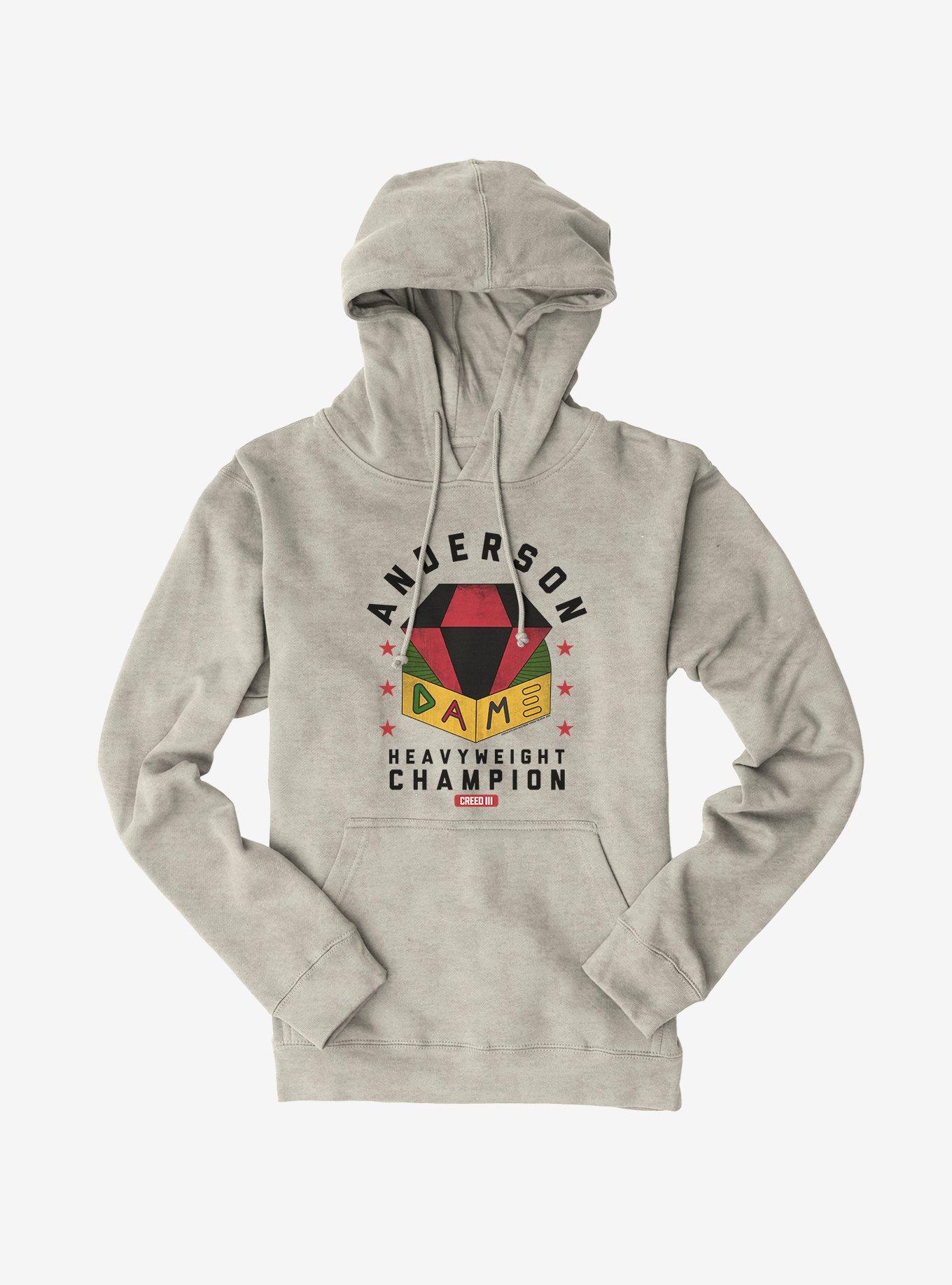 The north face hoodie clearance dame