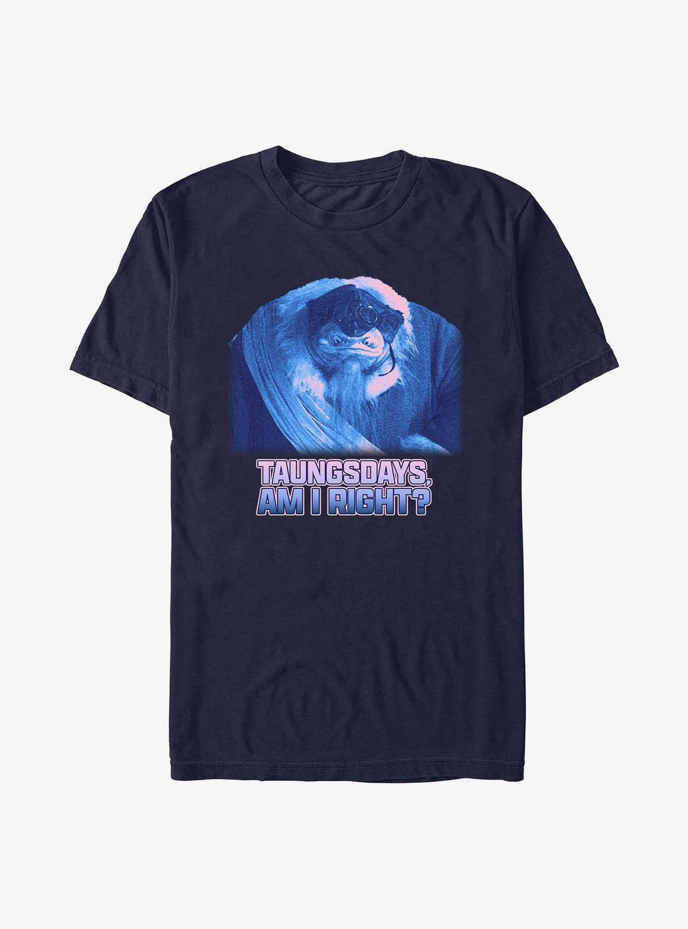 Star Wars The Mandalorian Taungsdays Am I Right T-Shirt, , hi-res