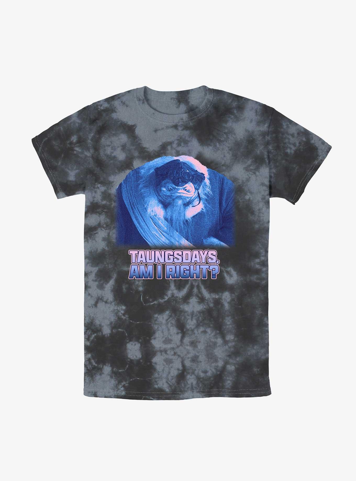 Star Wars The Mandalorian Taungsdays Am I Right Tie-Dye T-Shirt, BLKCHAR, hi-res