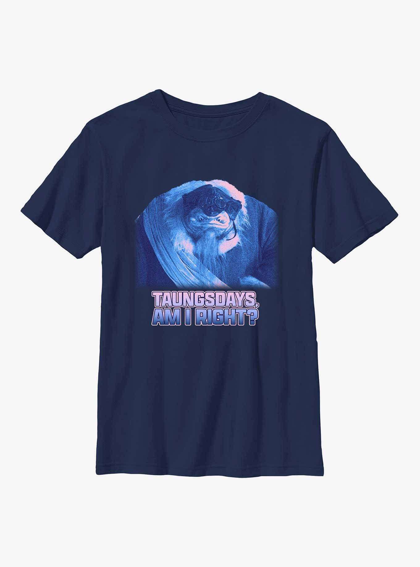 Star Wars The Mandalorian Taungsdays Am I Right Youth T-Shirt, , hi-res