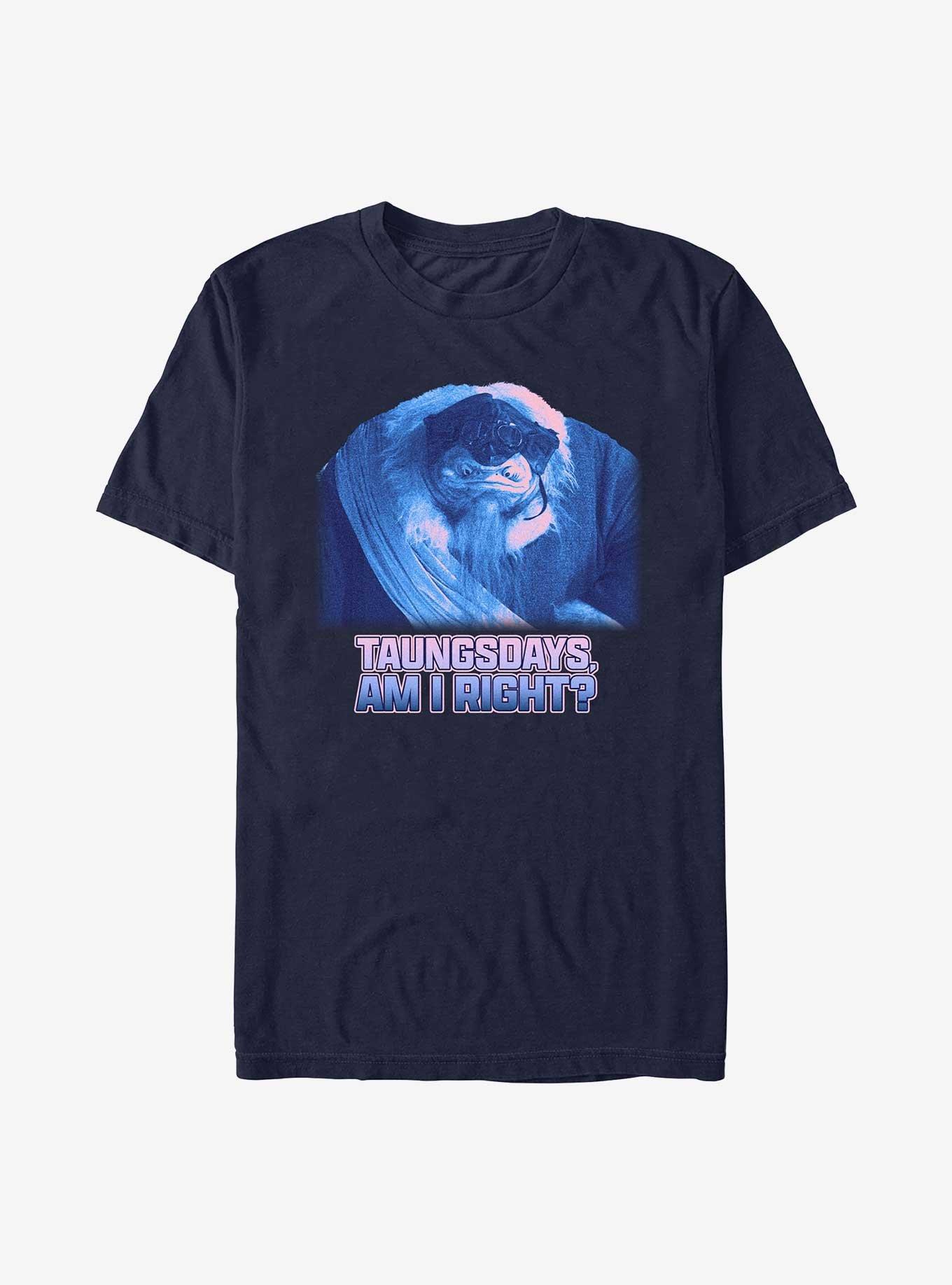 Star Wars The Mandalorian Taungsdays Am I Right T-Shirt, NAVY, hi-res