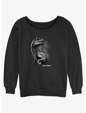 Jurassic World Raptor Smile Womens Slouchy Sweatshirt, , hi-res