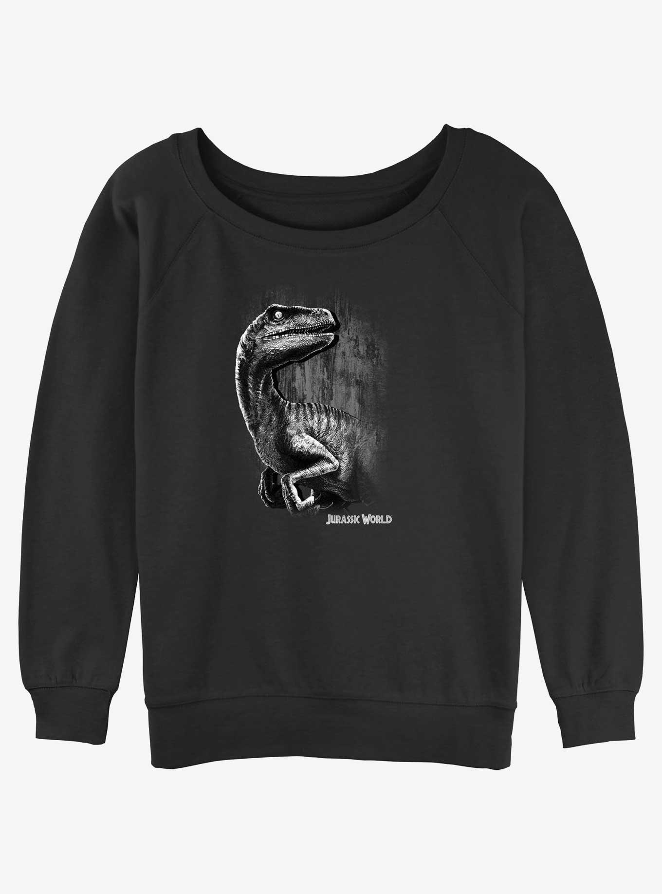 Jurassic World Raptor Smile Womens Slouchy Sweatshirt, , hi-res