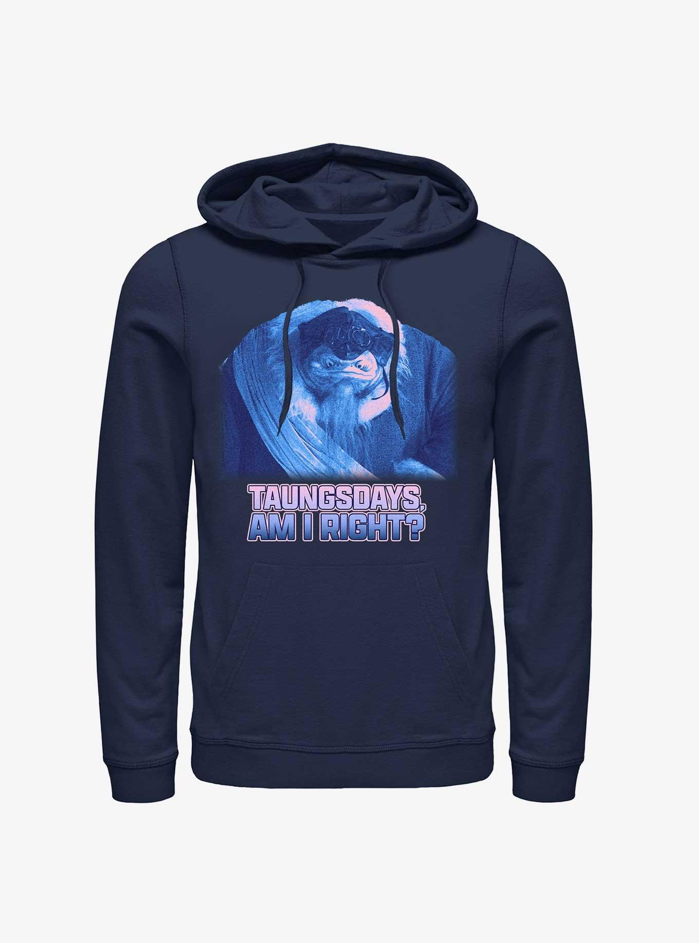 Star Wars The Mandalorian Taungsdays Am I Right Hoodie, NAVY, hi-res