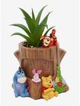 Disney Winnie the Pooh Pooh & Friends Faux Succulent Planter - BoxLunch Exclusive, , hi-res