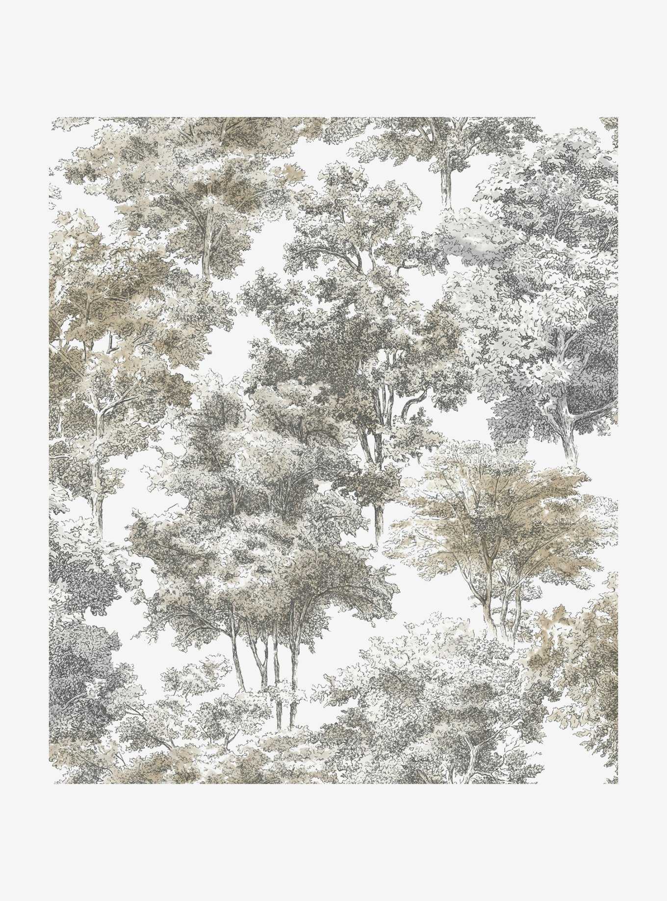 Old World Trees Peel & Stick Wallpaper, , hi-res
