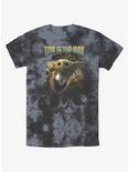 Star Wars The Mandalorian Grogu Clan of Two Tie-Dye T-Shirt Hot Topic Web Exclusive, BLKCHAR, hi-res