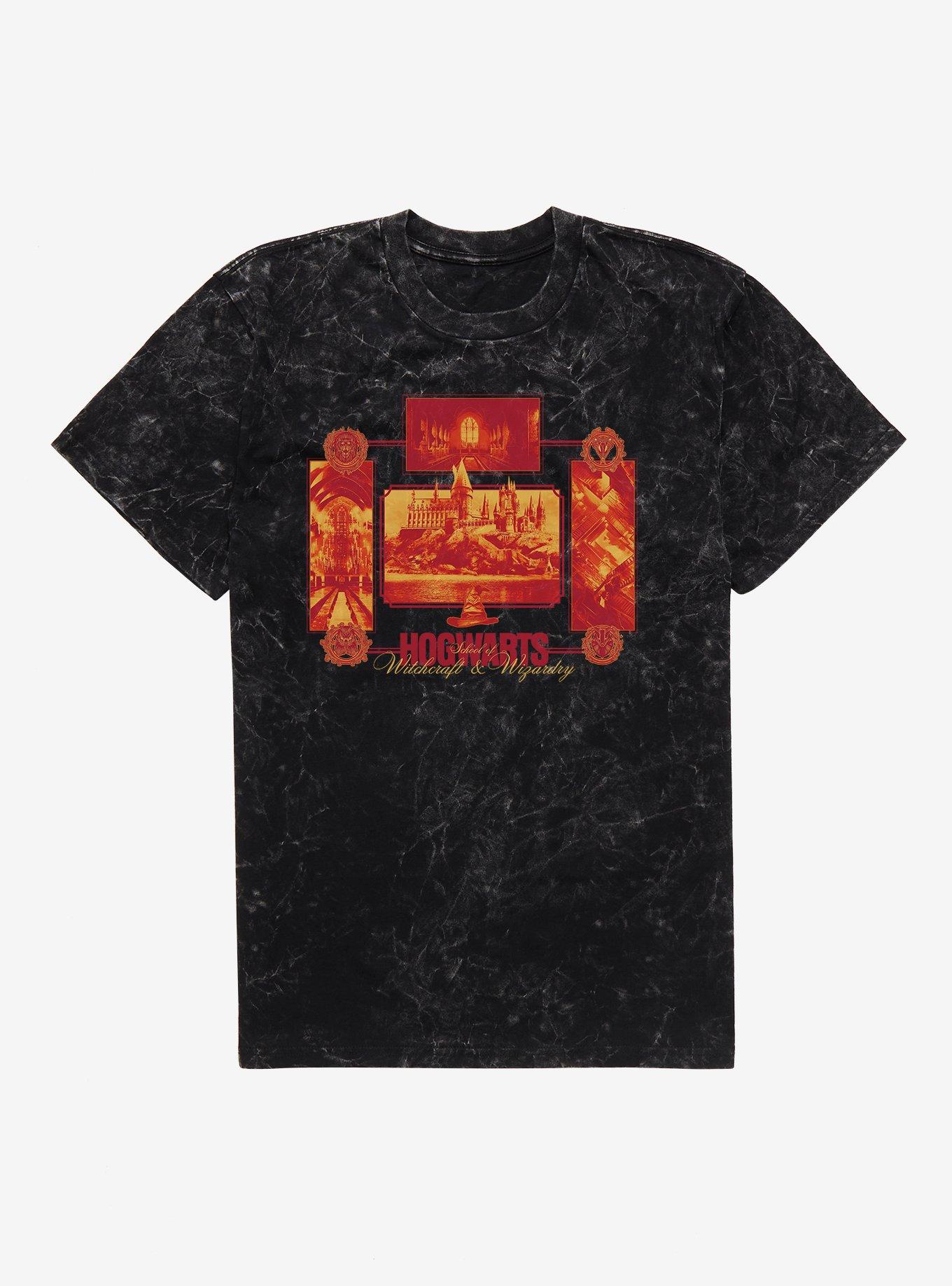 Harry Potter Hogwarts School Portraits Mineral Wash T-Shirt, BLACK MINERAL WASH, hi-res view 1
