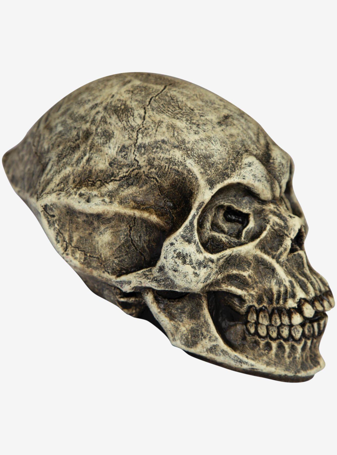 Alien Skull Decor, , hi-res