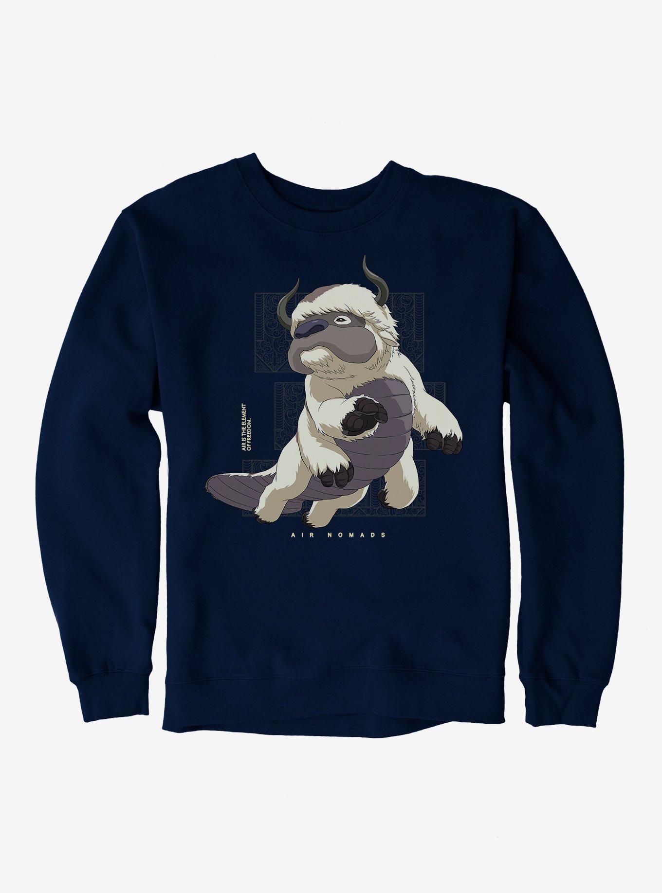 Avatar 2025 appa sweatshirt