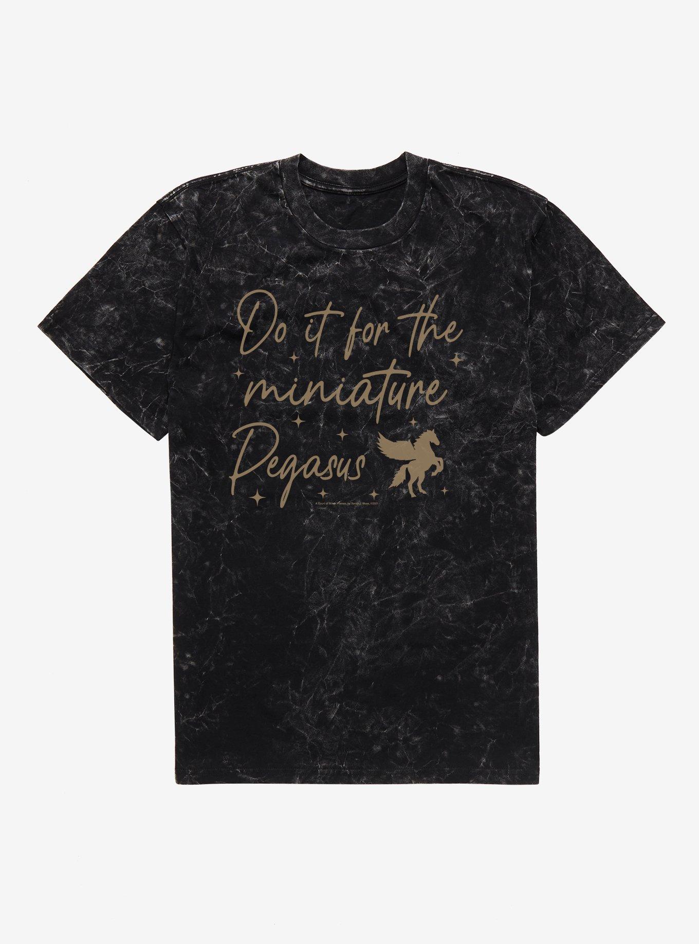 A Court Of Silver Flames Do It For The Miniature Pegasus Mineral Wash T-Shirt, BLACK MINERAL WASH, hi-res
