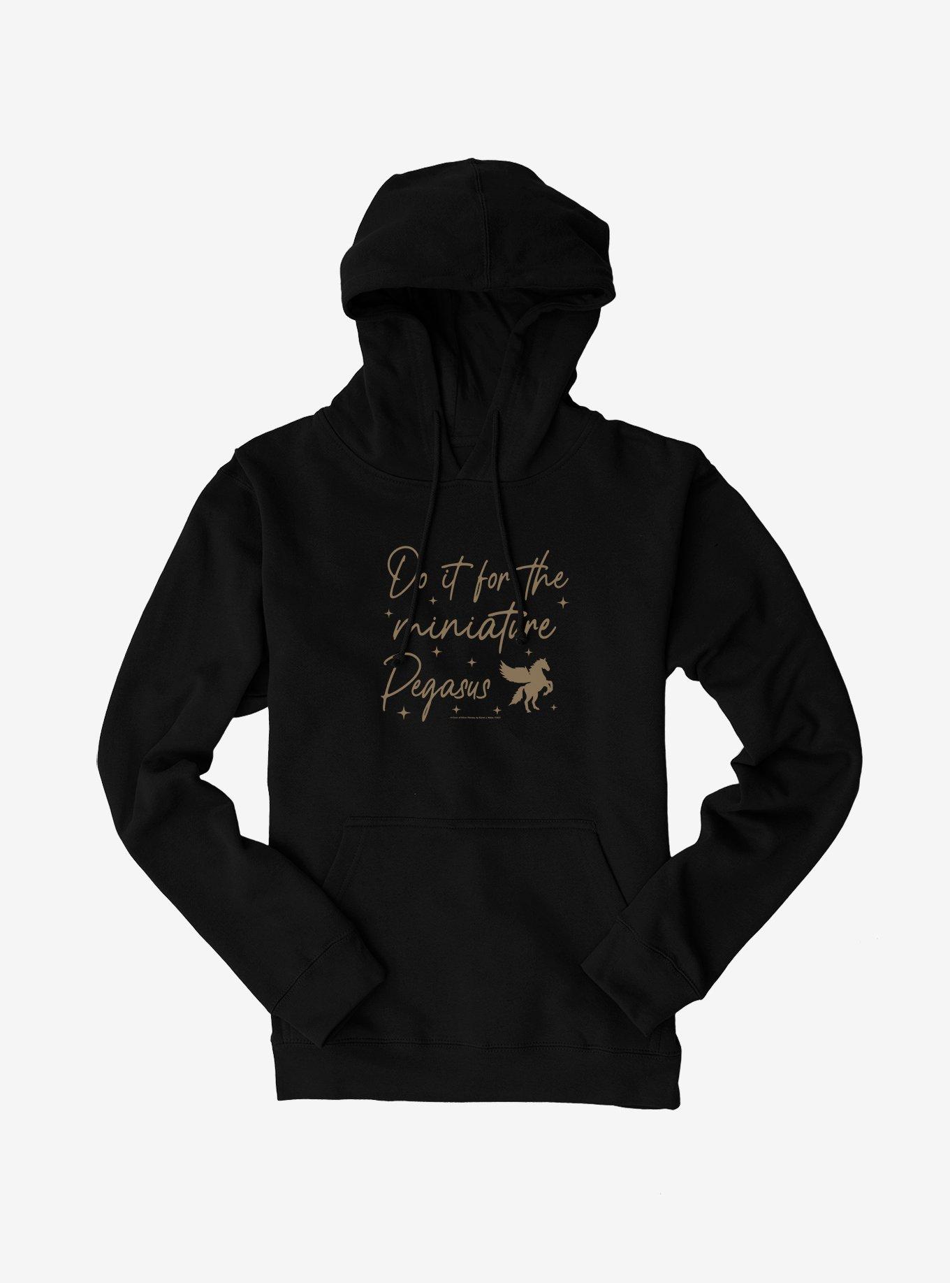 A Court Of Silver Flames Do It For The Miniature Pegasus Hoodie