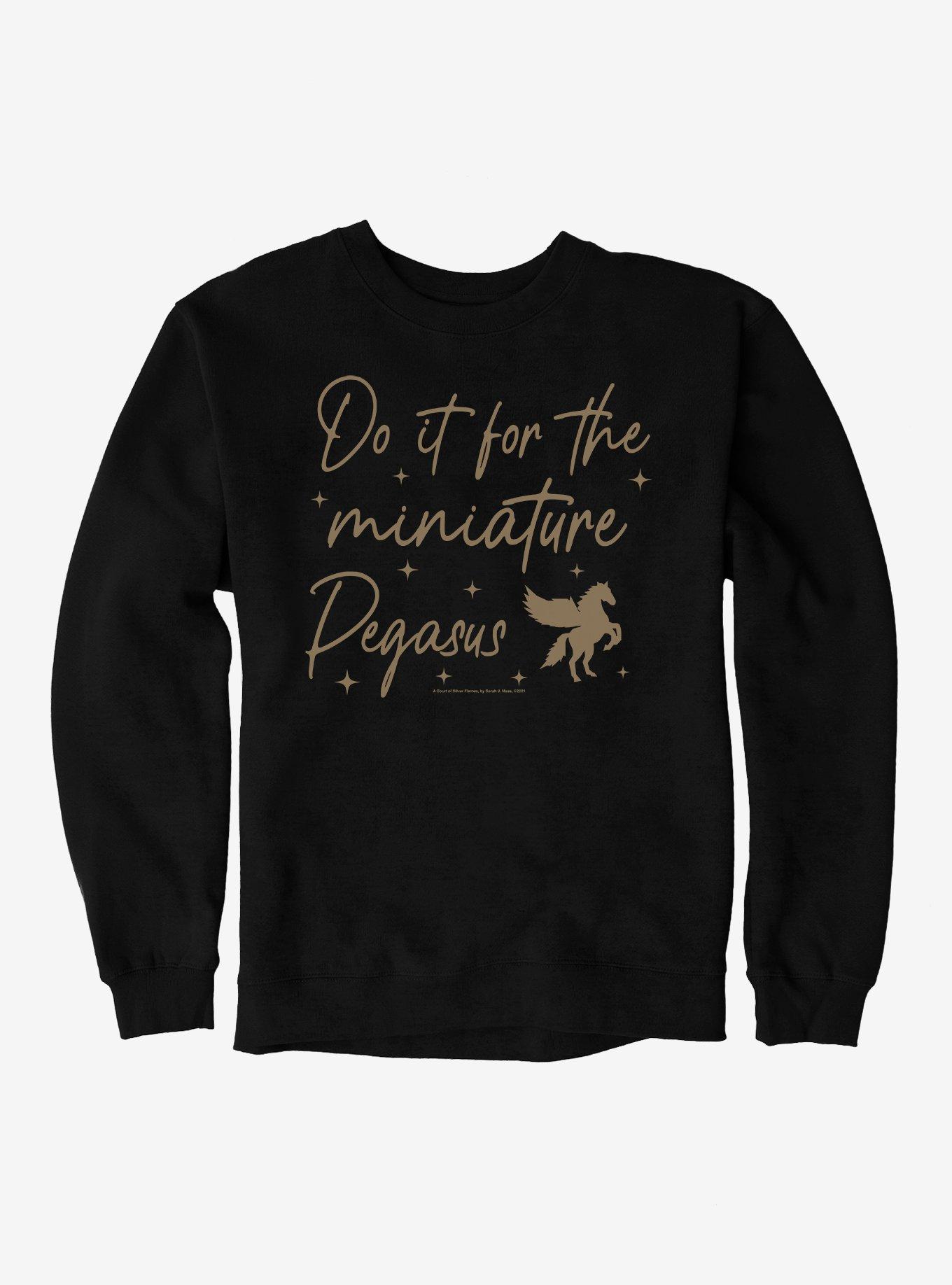 A Court Of Silver Flames Do It For The Miniature Pegasus Sweatshirt, BLACK, hi-res