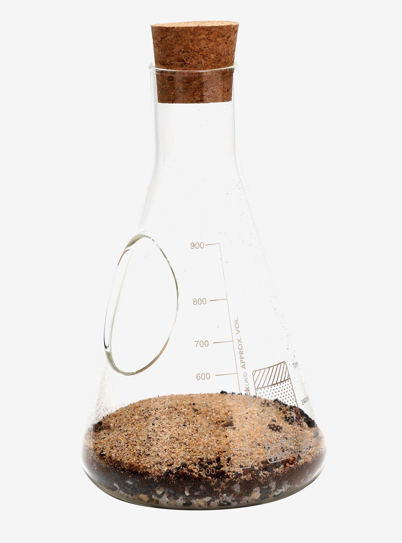 Chemistry Lab-Flask Terrarium Kit, , hi-res