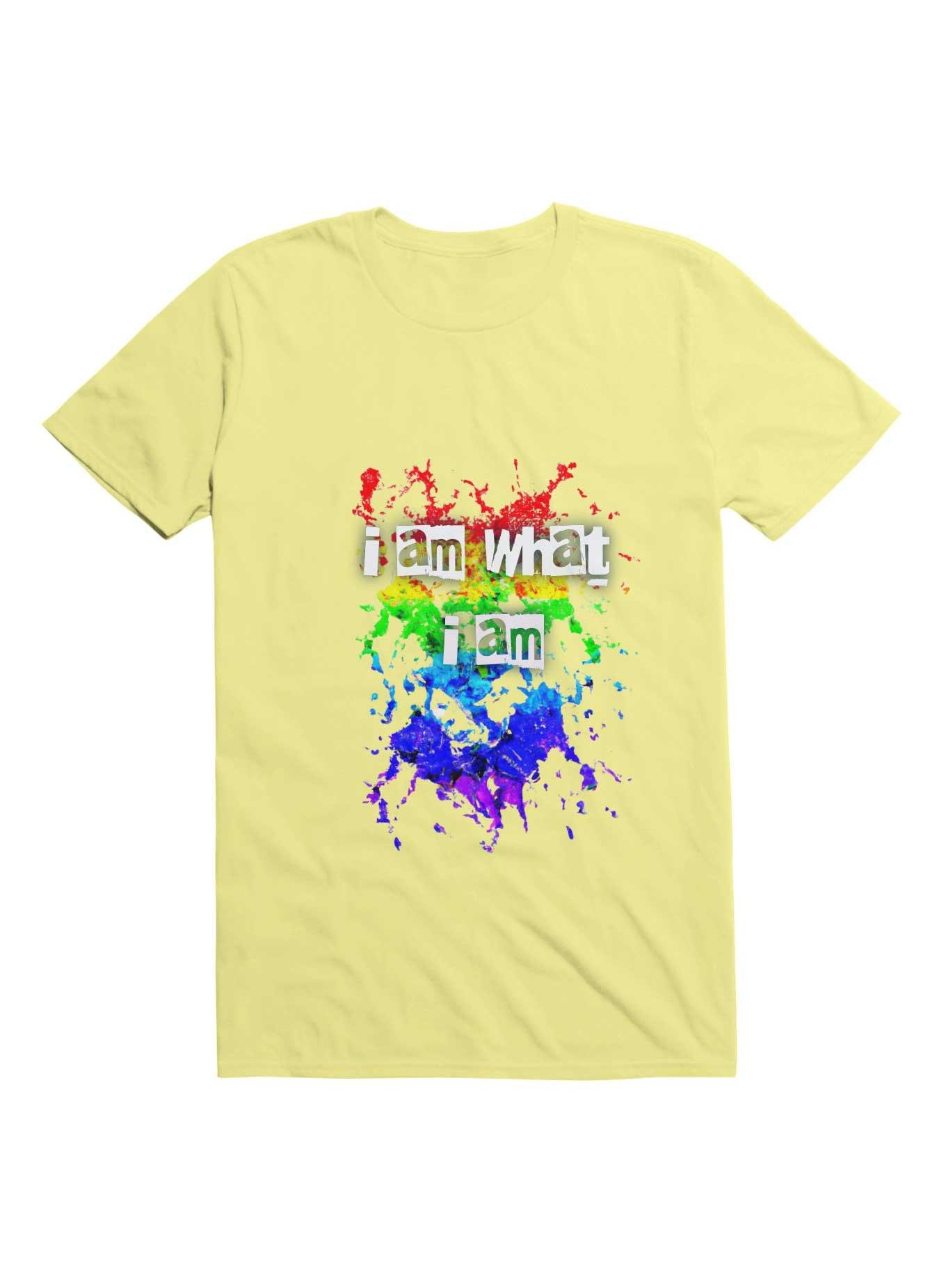 Celebrate Diversity LGBT Design T-Shirt
