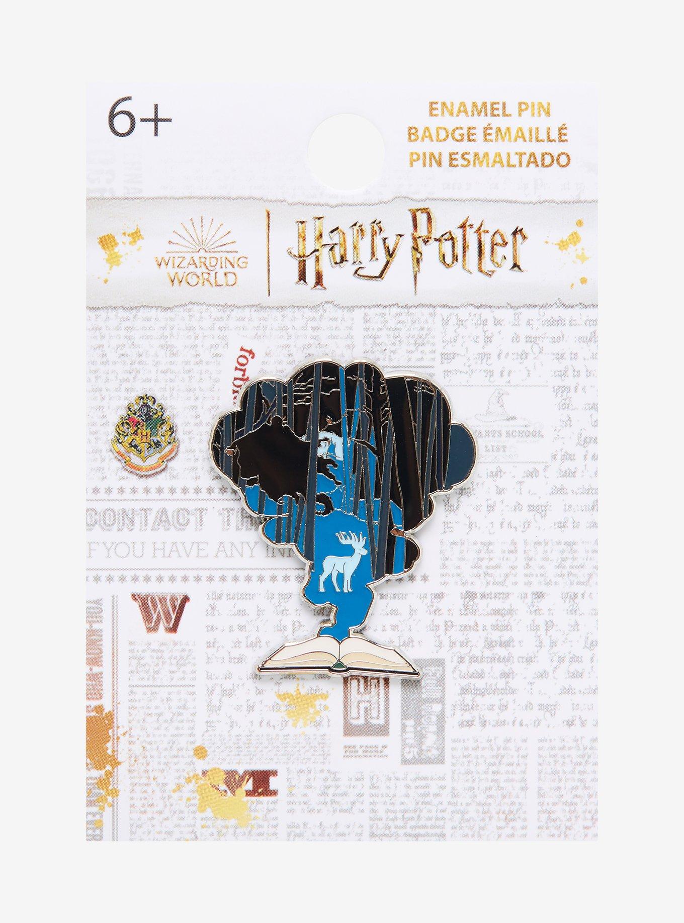 Pin en HARRY POTTER