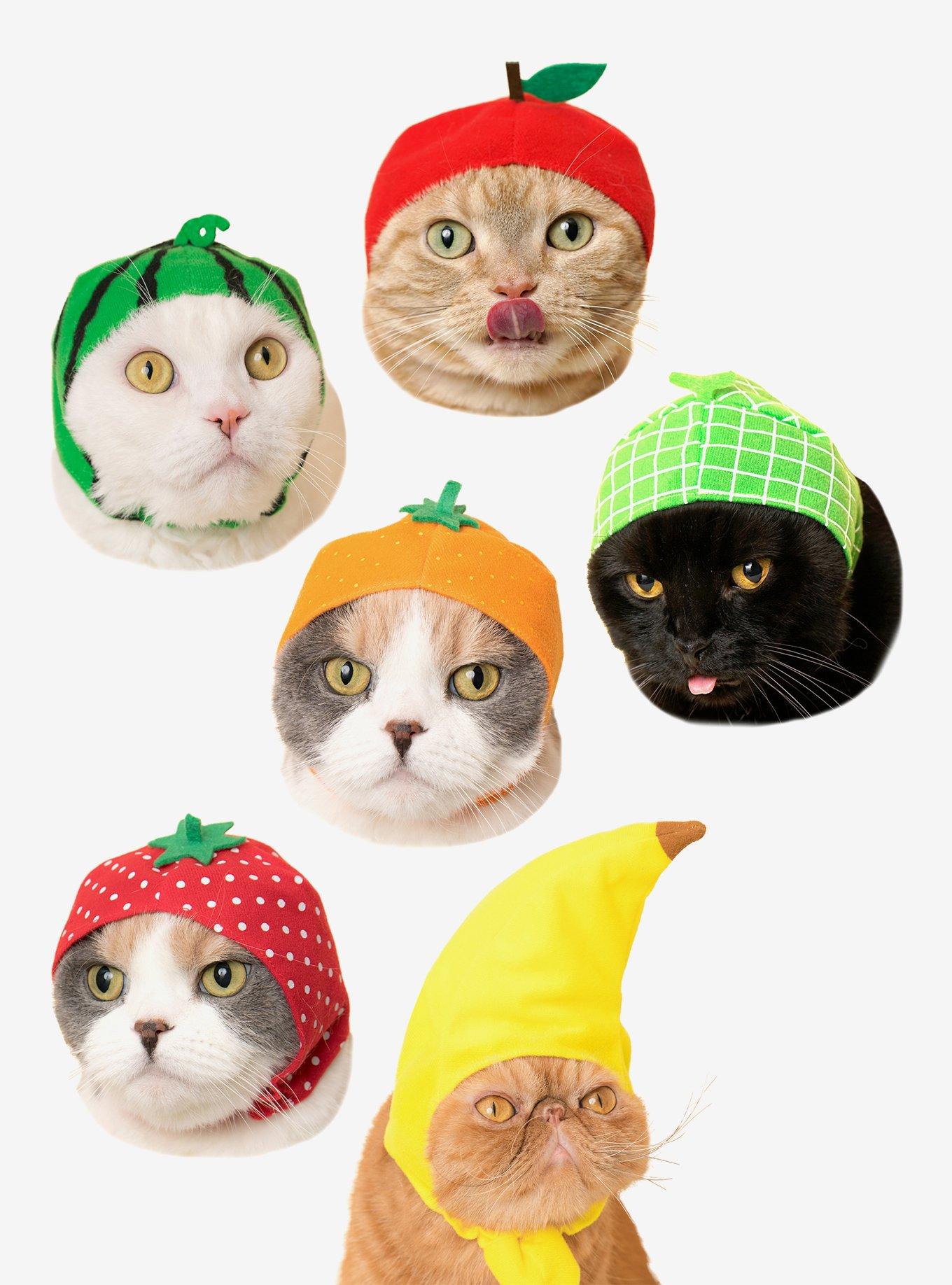 Fruit Blind Box Cat Cap, , hi-res