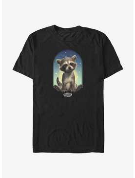 Guardians Of The Galaxy Vol. 3 Rocket Frame T-Shirt, , hi-res