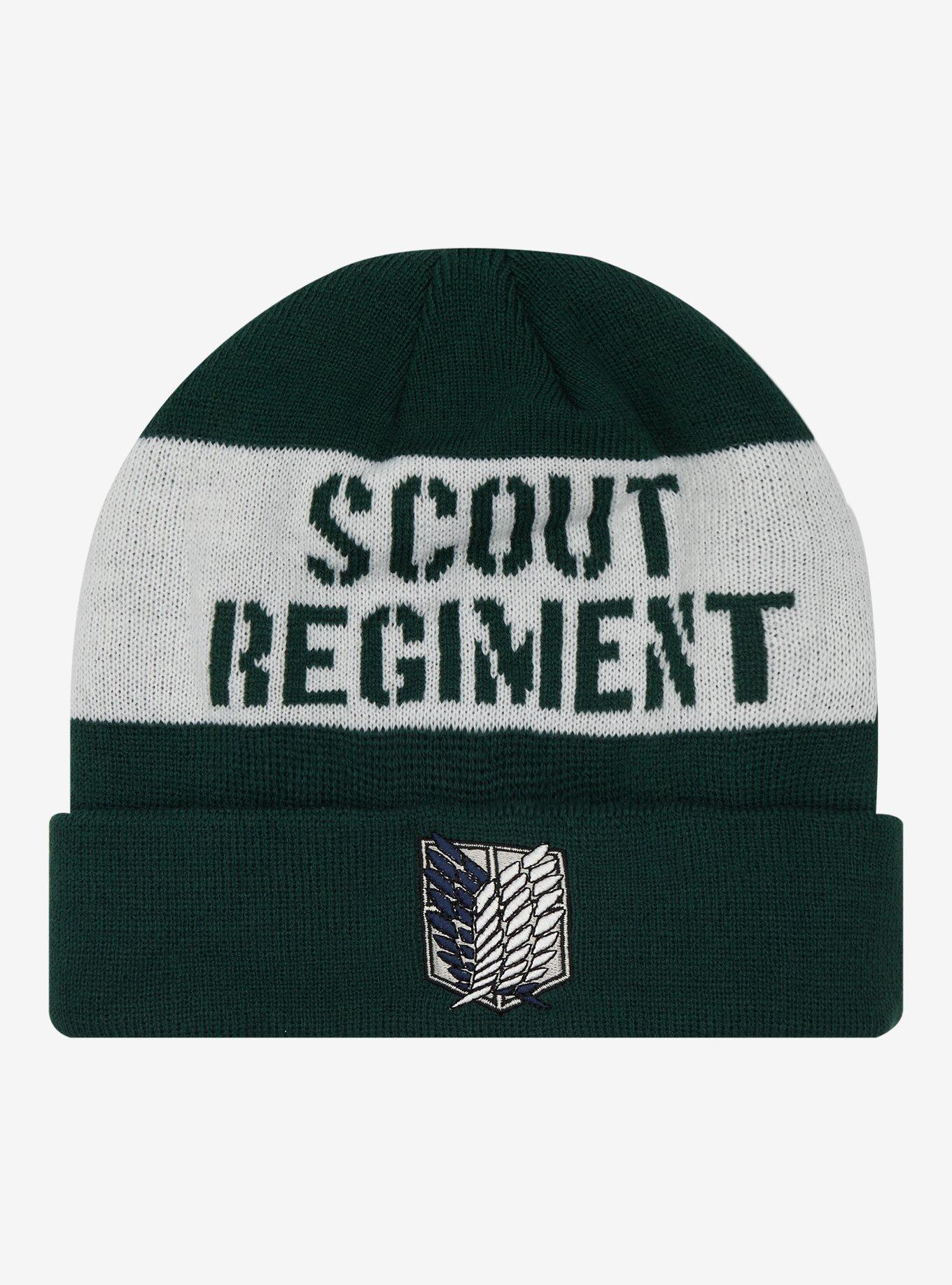 Attack On Titan Scout Regiment Stripe Beanie, , hi-res