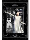 The Bride Of Frankenstein The Bride Poster, WHITE, hi-res