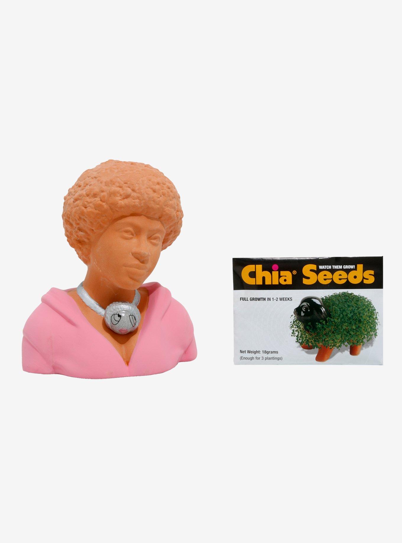 Ice Spice Chia Pet