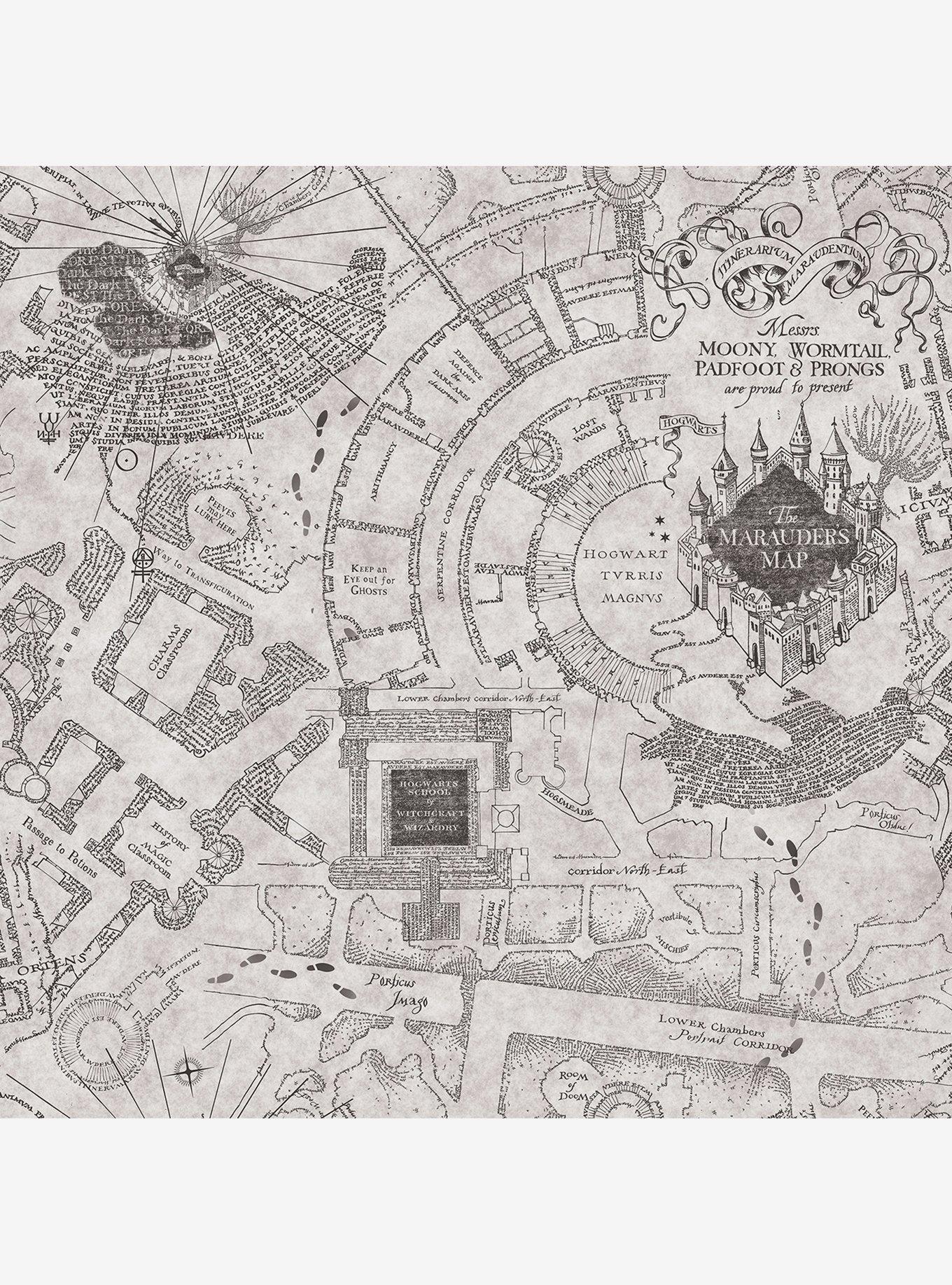 Harry Potter Marauder's Map Grey Peel & Stick Wallpaper, , hi-res
