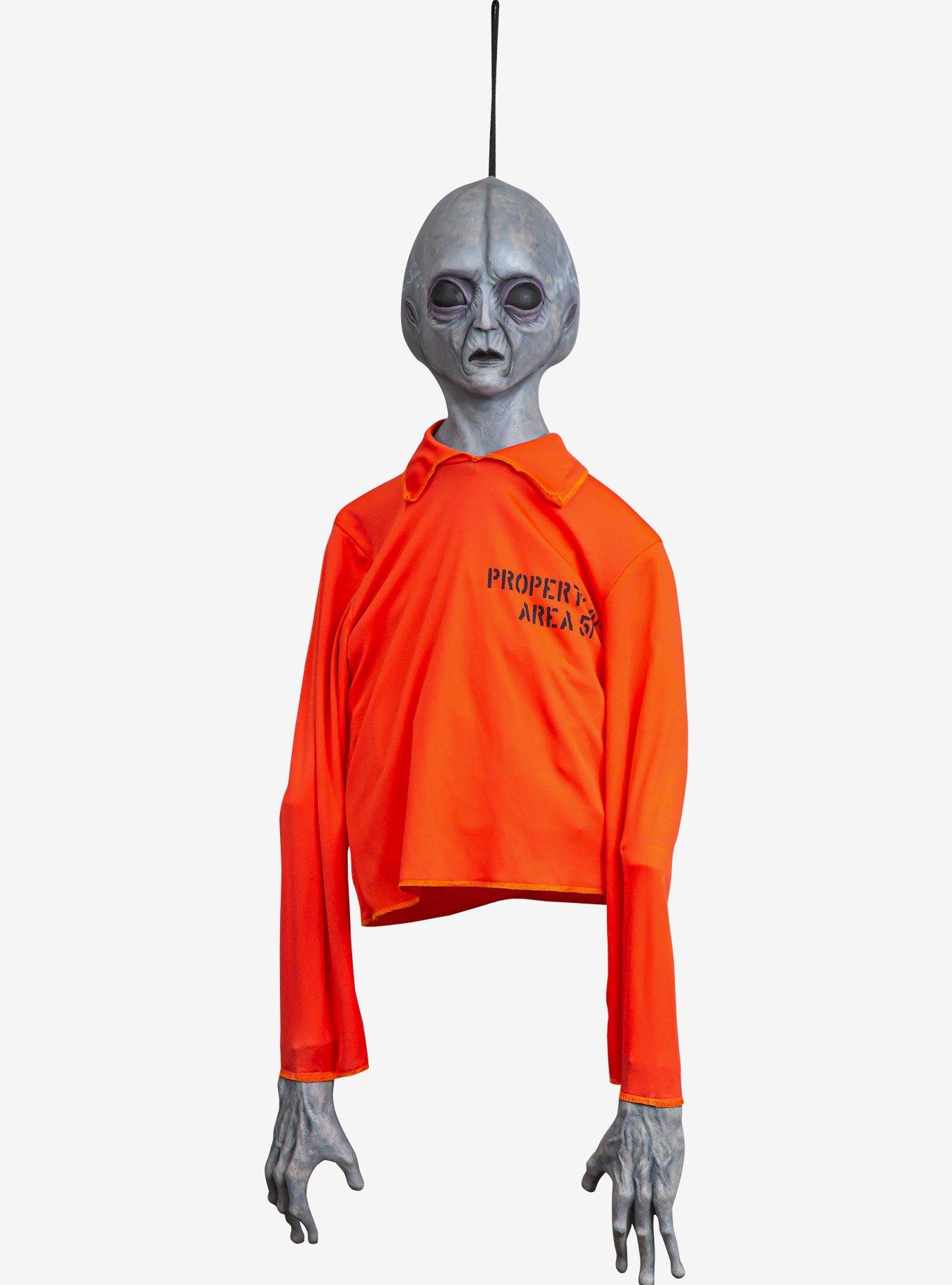 Hanging Area 51 Door Greeter, , hi-res