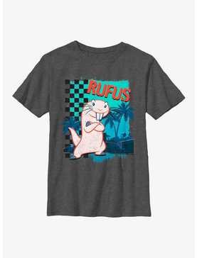Disney Kim Possible Rufus Vintage Skater Youth T-Shirt, , hi-res