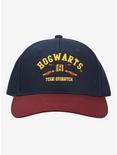 Harry Potter Hogwarts Quidditch Snapback Hat, , hi-res