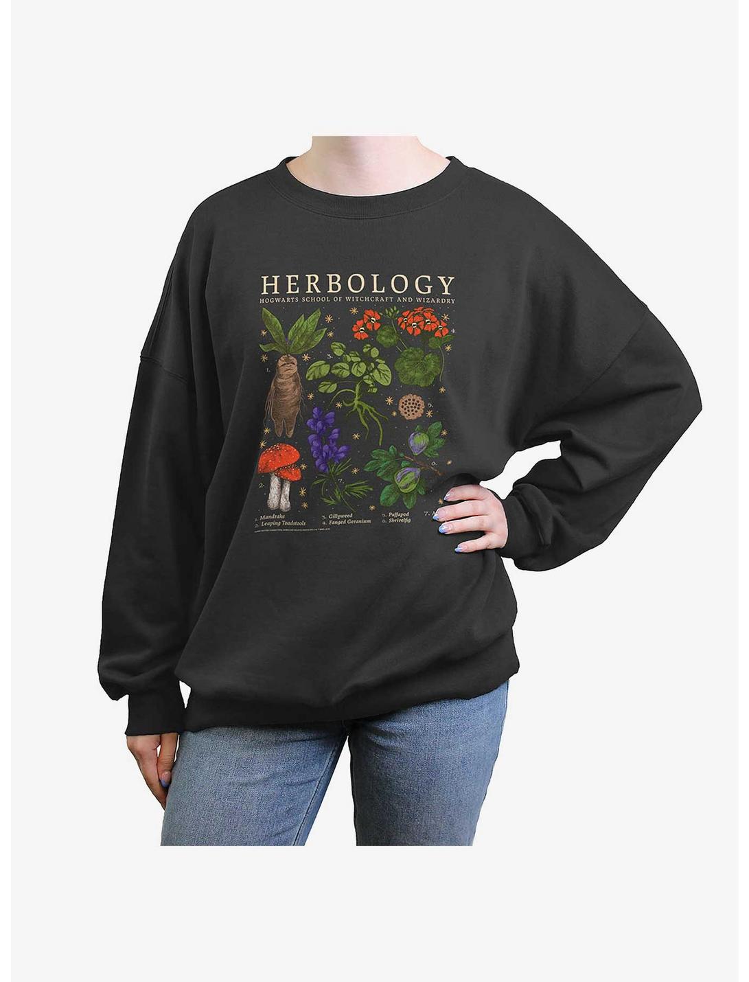 Harry Potter Herbology Womens Oversized Crewneck, CHARCOAL, hi-res