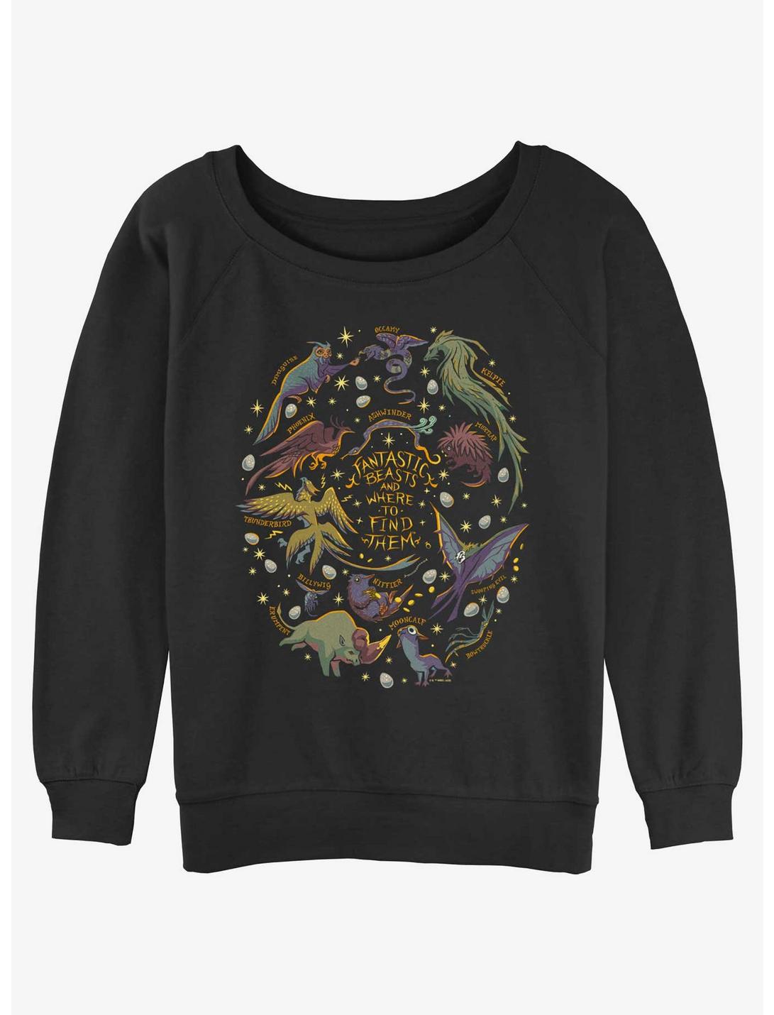 Fantastic Beasts and Where to Find Them Species Womens Slouchy Sweatshirt, BLACK, hi-res
